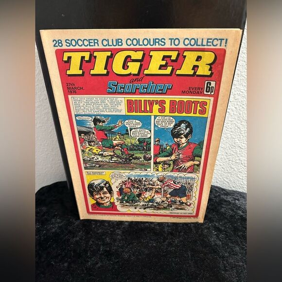 Vintage Tiger Paper Book – Rare Collectible - Picture 1 of 2